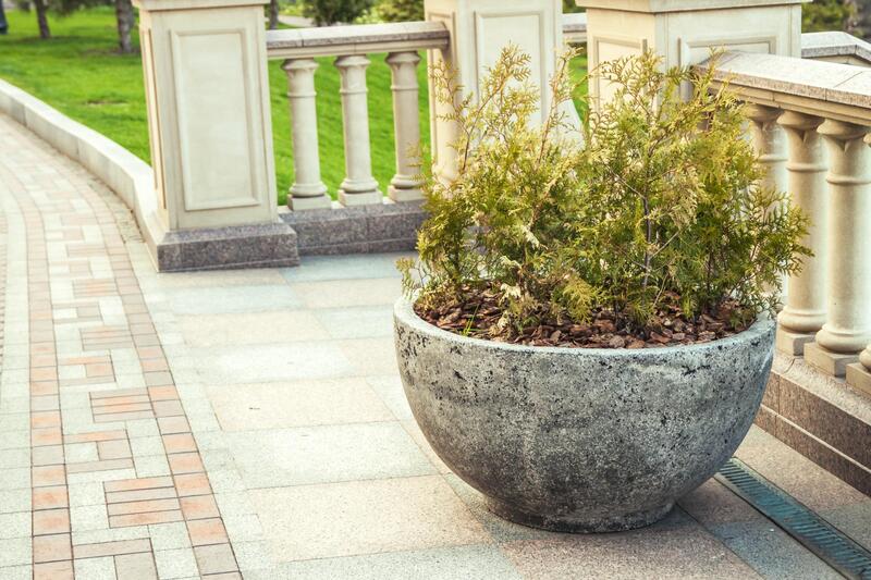a nice concrete pot